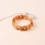 Fairy Light 10feet